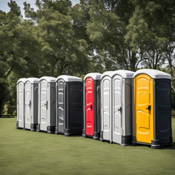 Choosing the Right Porta Potty for Your Event